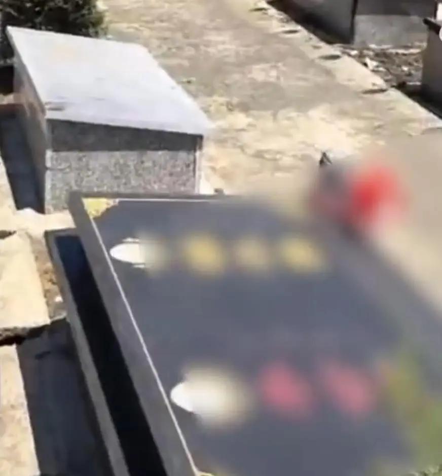 活人占死人墓？泰興一公益性墓地遭篡改，家屬崩潰：骨灰盒都不見了！