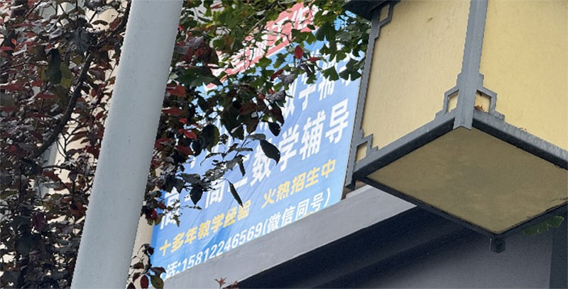 暑假補課是不是該處罰？